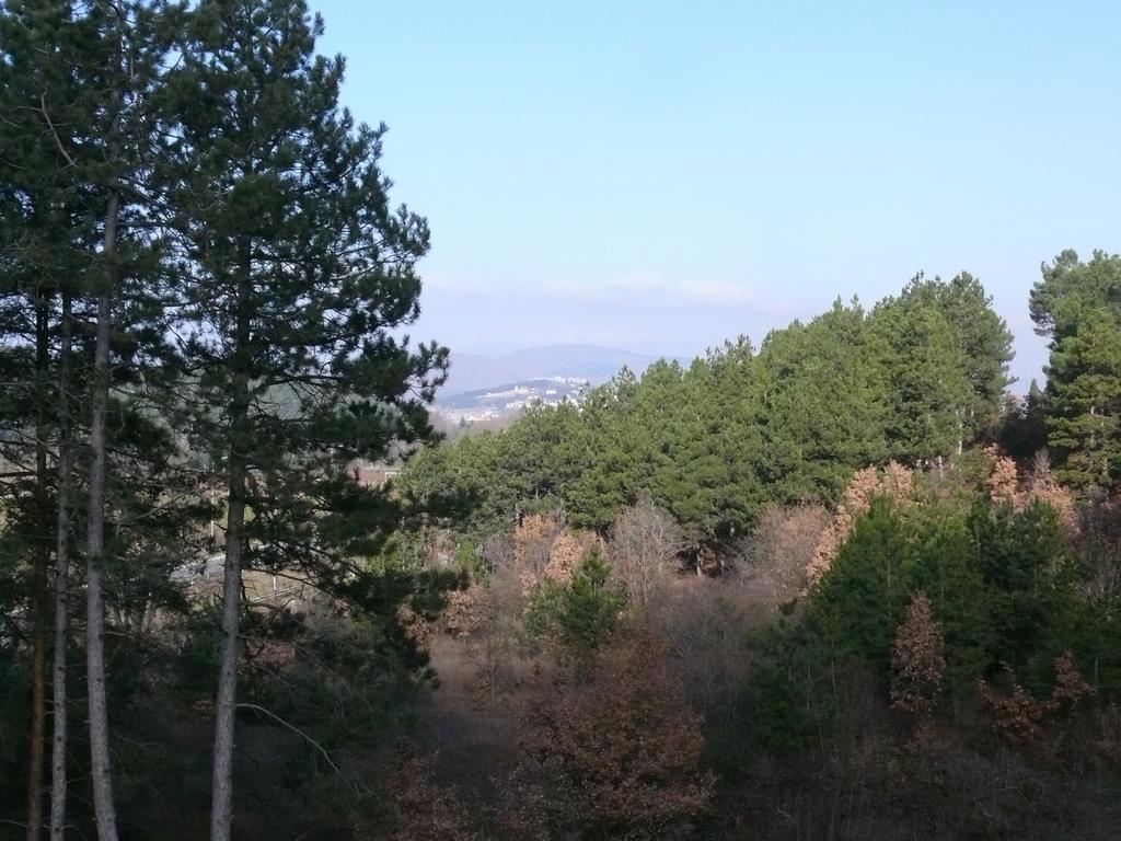 Bella Vista Apartments Ohrid Buitenkant foto